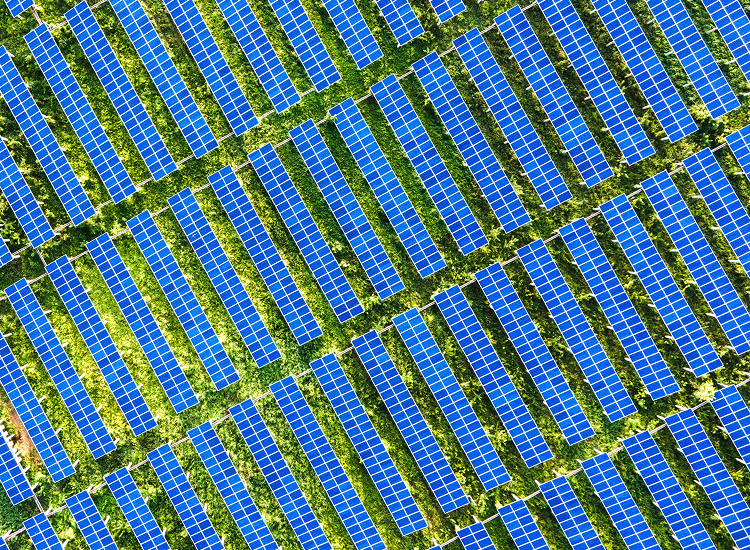 Decorative. Aerial view of rows of blue solar panels arranged in a geometric pattern over green terrain.