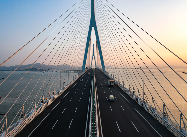 Decorative. Dense forest with tall trees surrounded by mist and sunlight streaming through.