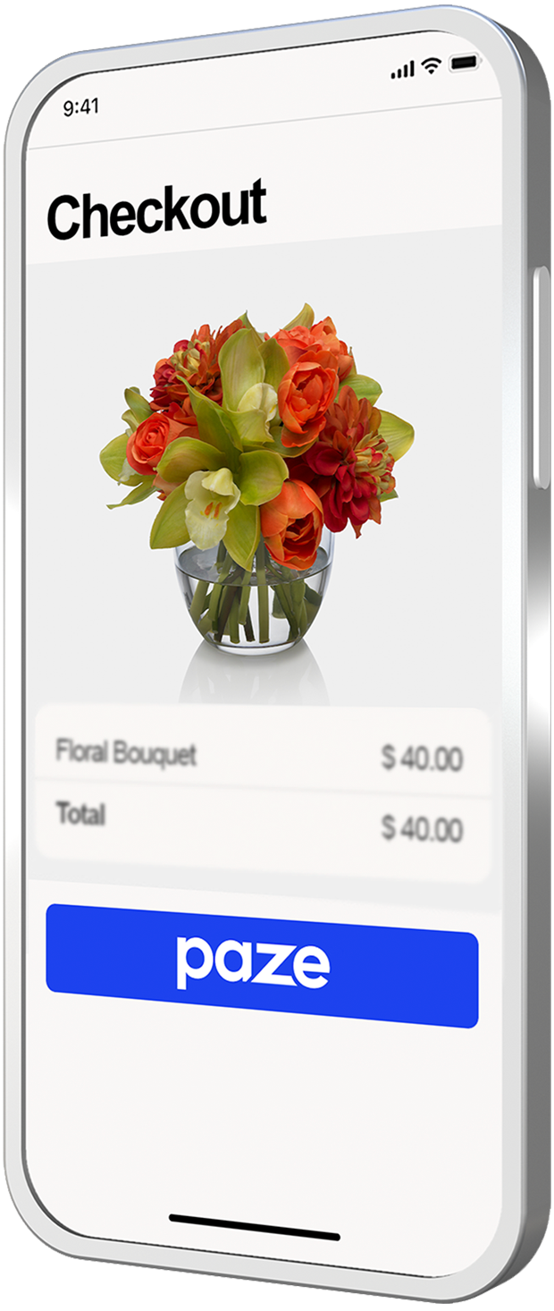 Product showcase. Simulated screen image of Paze checkout.